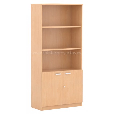 Armario de puertas bajas y estantes