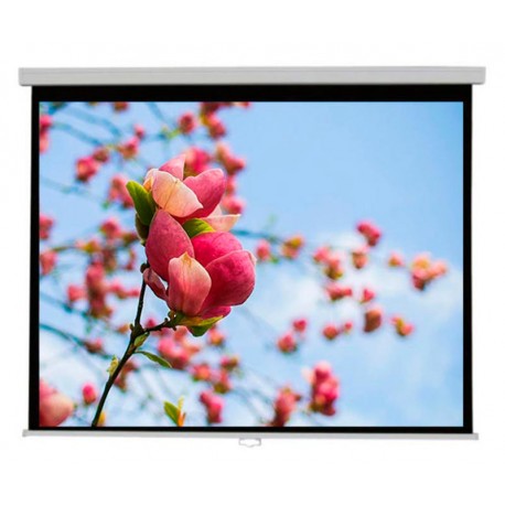 Pantalla eléctrica 240x240 Cimascreen