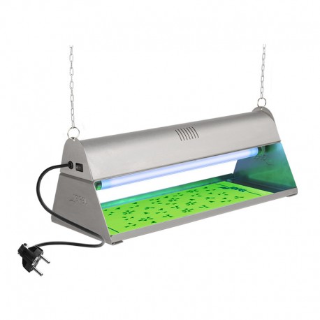 Exterminador de insectos por adherencia