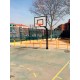 Canasta minibasket fija