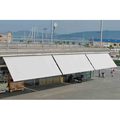 Toldos de brazo extensible