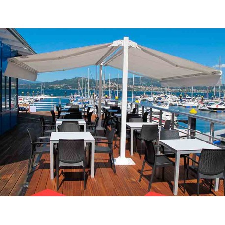 Toldos de brazo extensible