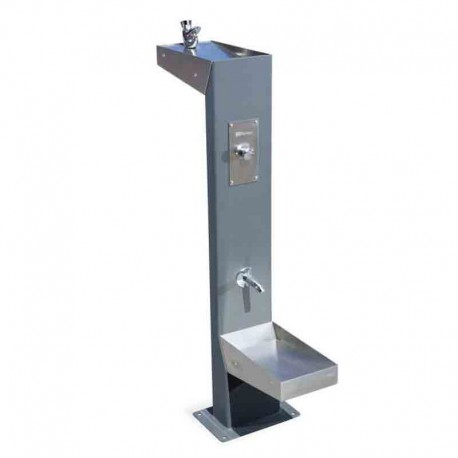 Fuentede acero minus dog