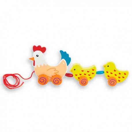 Gallina y pollitos en familia