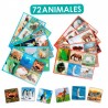 Conjunto asociación 72 animales