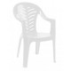 Silla apilable polipropileno palma